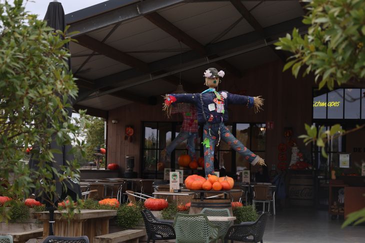 Halloween activiteiten Halloween activiteiten