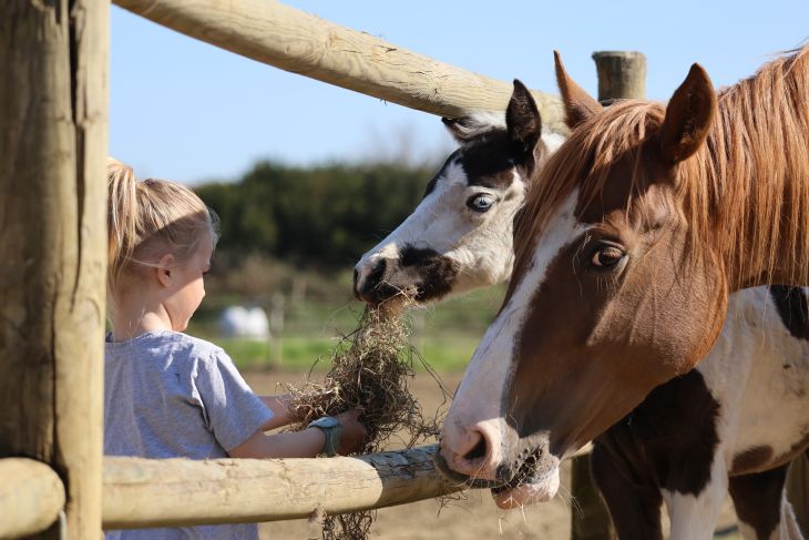 Boerderijkamp 1